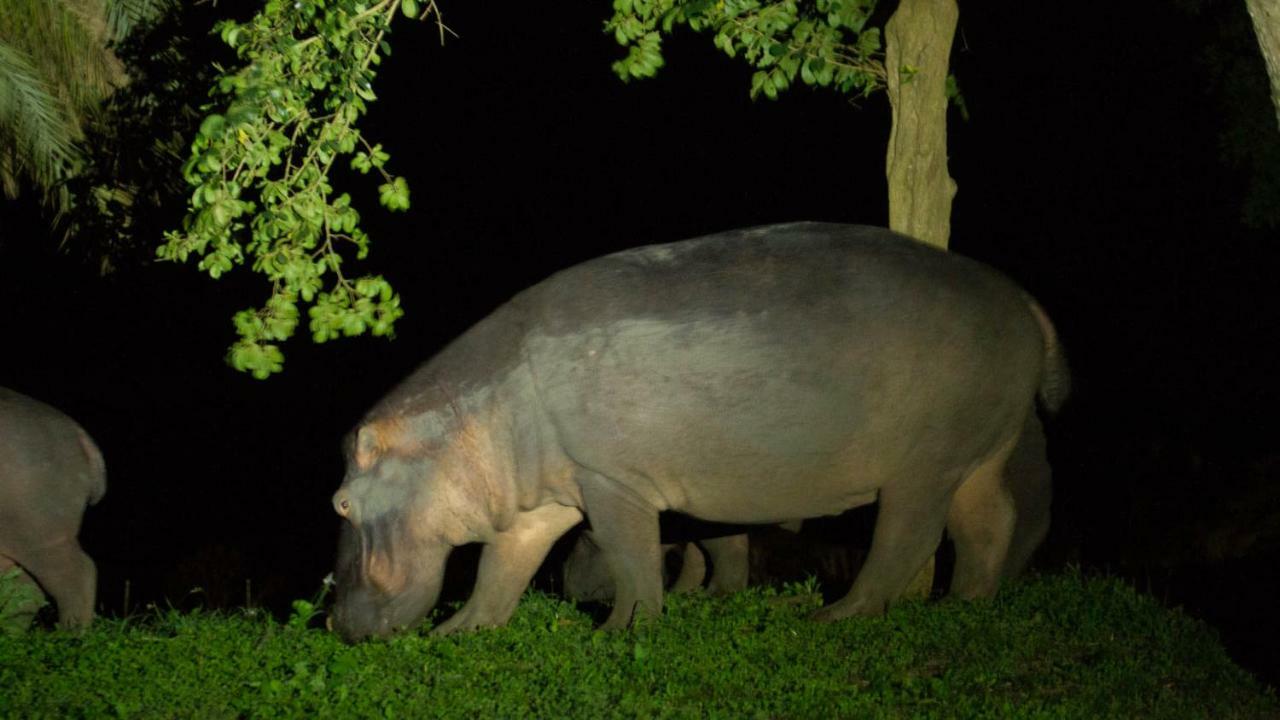 Готель Kwalucia Private Safari Retreat Сент-Люсія Екстер'єр фото
