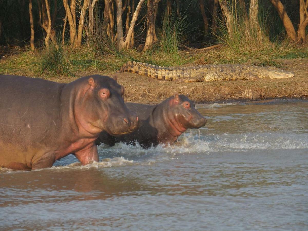 Готель Kwalucia Private Safari Retreat Сент-Люсія Екстер'єр фото